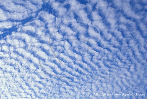 A billow (mackerel) cloud pattern appears woolly
