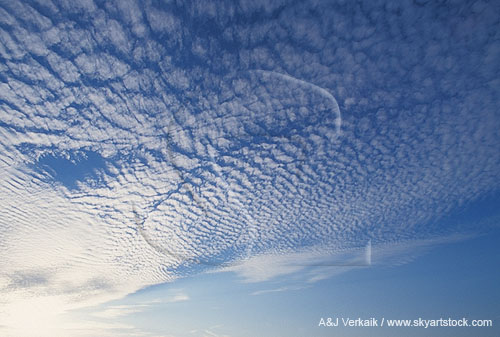 A finely textured sweep of mackerel clouds