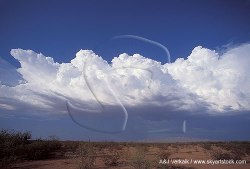 A line of clouds boils into a storm cloud 