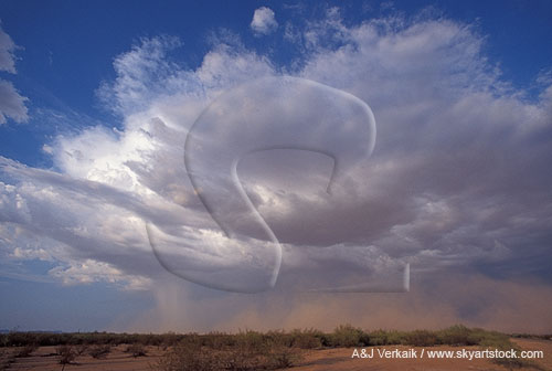 Desert clouds of blowing dust precede a storm