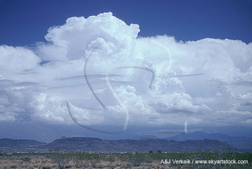 A bank of huge Cumulus Congestus clouds over the mountains