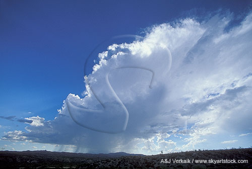Life cycle of a regenerating thunderstorm cloud in a wide-angle view