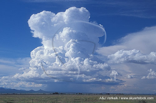Cloud types, TCu: giant Cumulus Congestus cloud with rain