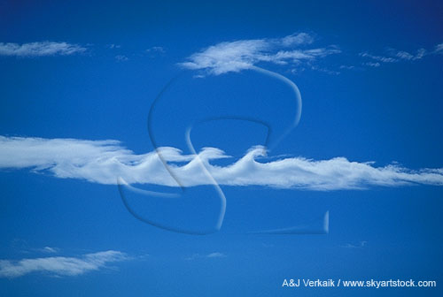 A rare Kelvin-Helmholz wave with breaking, cusped crests