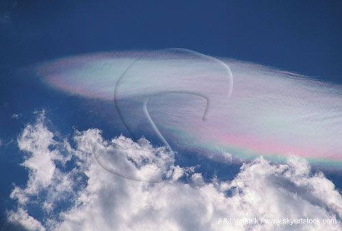 A smooth, iridescent Altocumulus cloud with puffy Cumulus