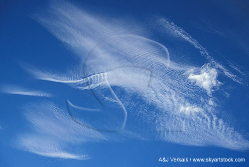 Creativity abounds in a finely textured whimsical cloudscape