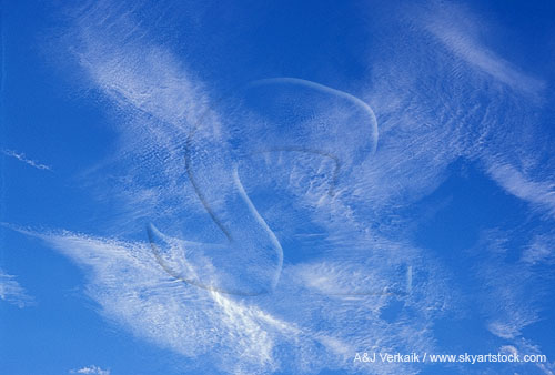Cloud types, Cc: fine cloud texture mimics angels in the heavens