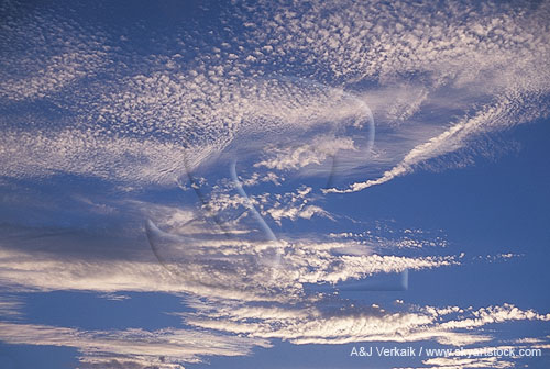 Brilliance and perfection as silvery detail paints hope in the sky