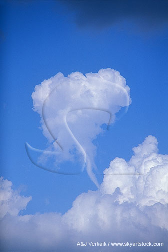A rare shear funnel in a small Cumulus cloud
