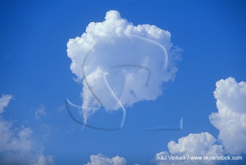 A small Cumulus cloud puff with shear funnel, the vortex revealed