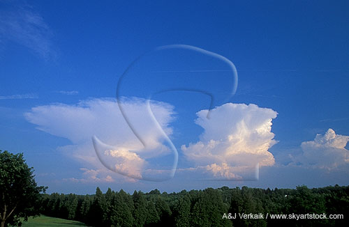 Three Cumulonimbus clouds at different stages of development