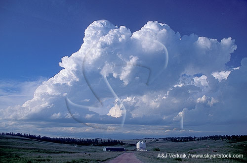 The relationship between updraft strength and wind shear