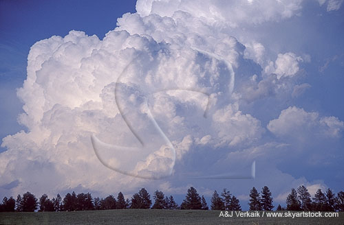 Billowing turbulence fills the sky with crunchy convection