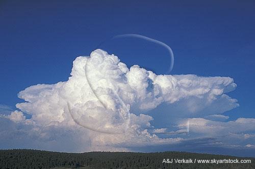 Cloud type, Cb: backside view of a regenerating Cumulonimbus cloud