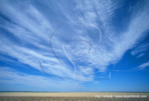 Cloud type, Ci: finely detailed Cirrus clouds with webbed pattern