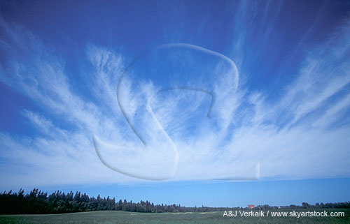 Cloud type, Ci: a band of Cirrus clouds with feathery plumes