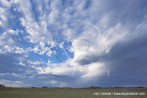 Woolly clouds scatter away from a smooth storm cloud