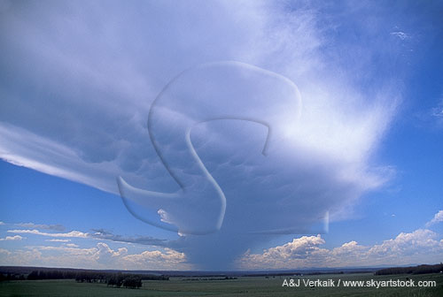 How wind shear affects anvil clouds: anvil blowoff