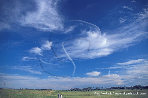 Cirrus wisps and tufts, free-floating in a summer sky