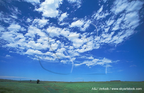 Cloud type, Ac: an Altocumulus cloud patch in summer