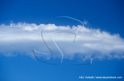 A strip of feathered Altocumulus cloud floats in a pure blue sky