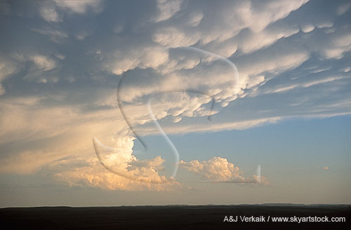 Thunderstorm cloud structure and morphology: hitting the tropopause