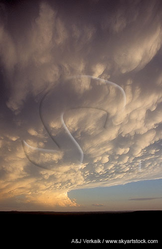 A powerful storm anvil cloud with silvery Mammatus pouches