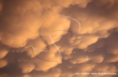 Close-up of Mammatus clouds, which are breast-shaped