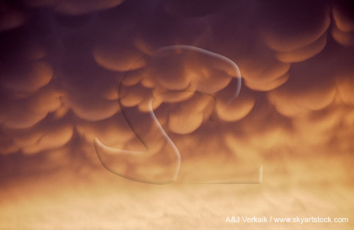 Late-stage, grape-like clusters of Mammatus in the process of decay