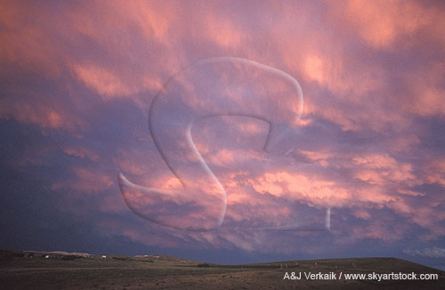A pink sunlit storm cloud inspires meditation