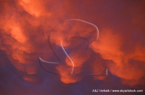 Close-up abstract texture: Mammatus in a red sunset