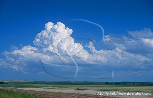 A Cumulus cloud boils and bubbles as it grows