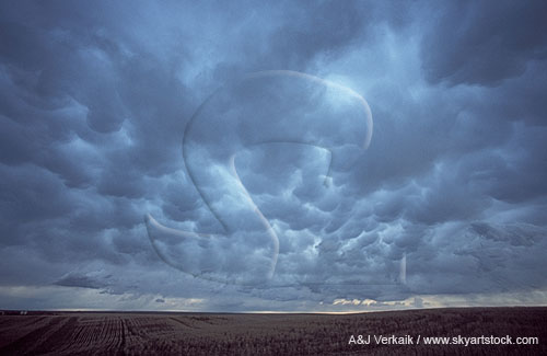 Mammatus clouds due to turbulence and mixing in an anvil cloud