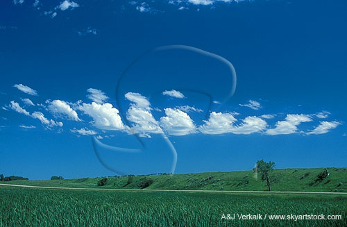 Cloud types, Ac: a strip of Altocumulus clouds with large billows