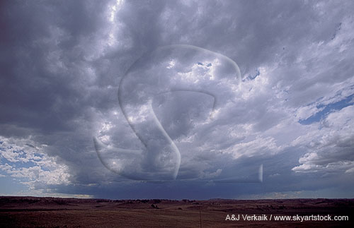 A woolly cloud sheet leads toward dark clouds in a distant storm