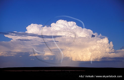 A beautiful boiling Cumulonimbus storm cloud