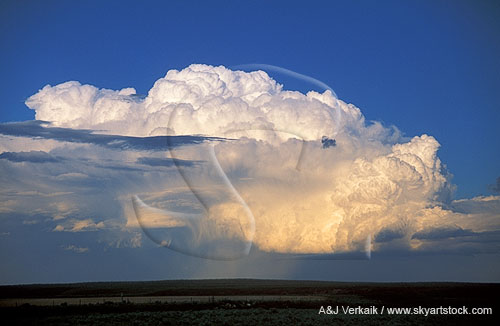 This Cumulonimbus gives us an overview of thunderhead structure