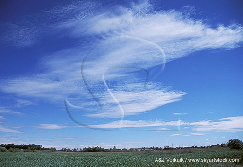 Atypical, nonstandard cloud form, a type of lenticular Stratocumulus