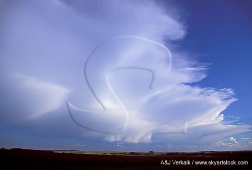 Puffy sweeps of smooth, pure white anvil cloud