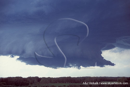 Close view of a circular wall cloud with typical tail