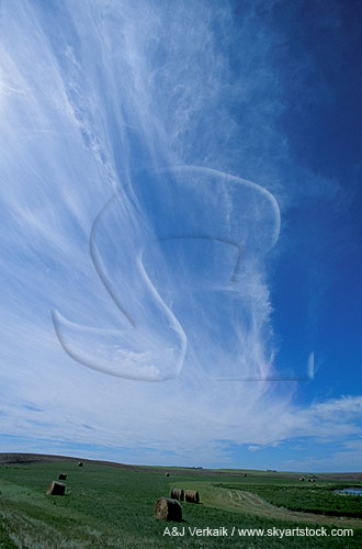 Wispy Cirrus clouds sweep the sky over a rolling field