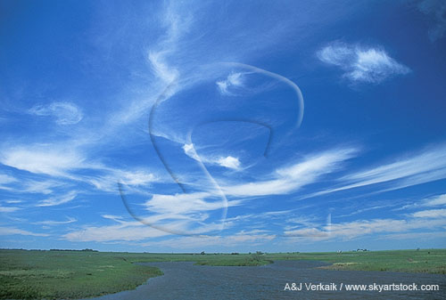 Cloud types, Ci: scattered Cirrus cloud in fair weather