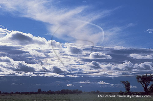 A potpourri of cloud forms: Cirrus, Altocumulus and Cumulus