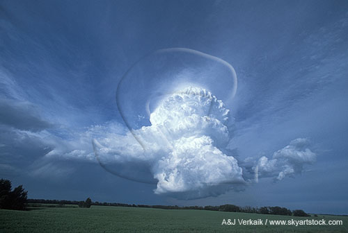 A tall storm tower composed of a stream of vigorous updraft bubbles