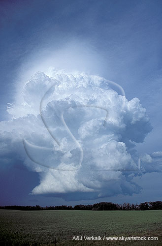 A boiling Towering Cumulus cloud inspires wonder