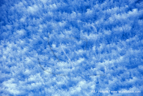 A lively but gentle abstract sky of Floccus clouds in tiny puffs