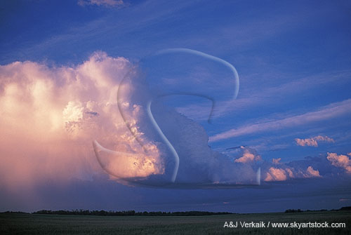 A twilight storm cloud looks evanescent with its soft, dreamy anvil