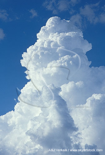 A Towering Cumulus towering above others