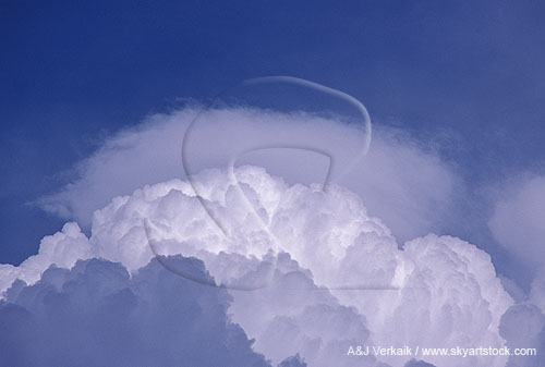 Pileus accessory cloud feature: Pileus cloud hood 