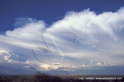 A Cumulonimbus anvil cloud with smooth sweeping wings